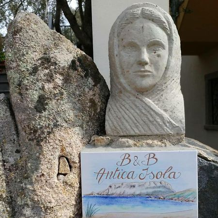 לינה וארוחת בוקר אולביה Antica Isola מראה חיצוני תמונה