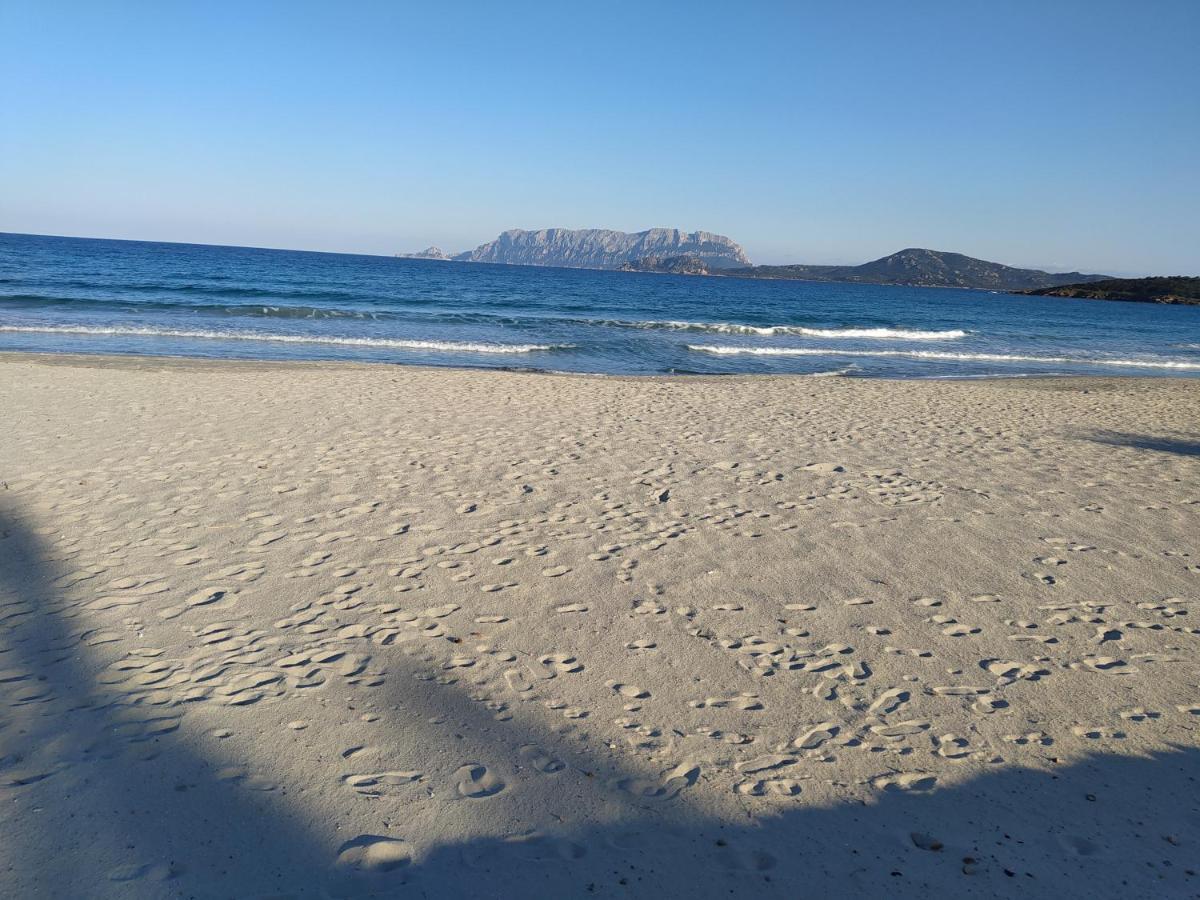 לינה וארוחת בוקר אולביה Antica Isola מראה חיצוני תמונה