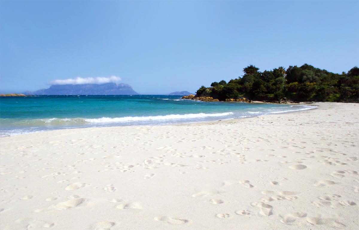 לינה וארוחת בוקר אולביה Antica Isola מראה חיצוני תמונה