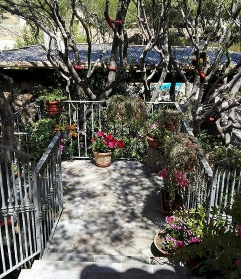 לינה וארוחת בוקר אולביה Antica Isola מראה חיצוני תמונה