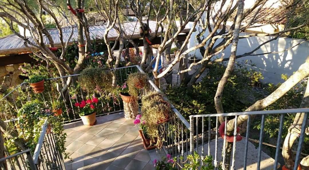לינה וארוחת בוקר אולביה Antica Isola מראה חיצוני תמונה